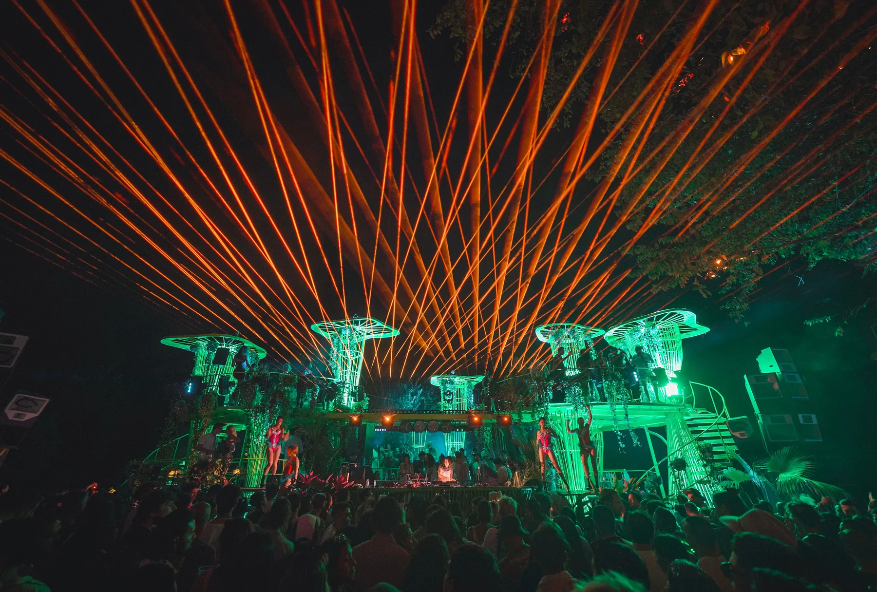 Lasers over the tree-shaped structures